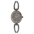 Titan Raga Viva Anthracite Dial Women Watch With Metal Strap nt2579qm01 Women's Watch