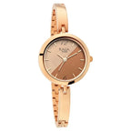 Titan Raga Viva Bicolour Dial Women Watch With Metal Strap nt2606wm07 Women's Watch
